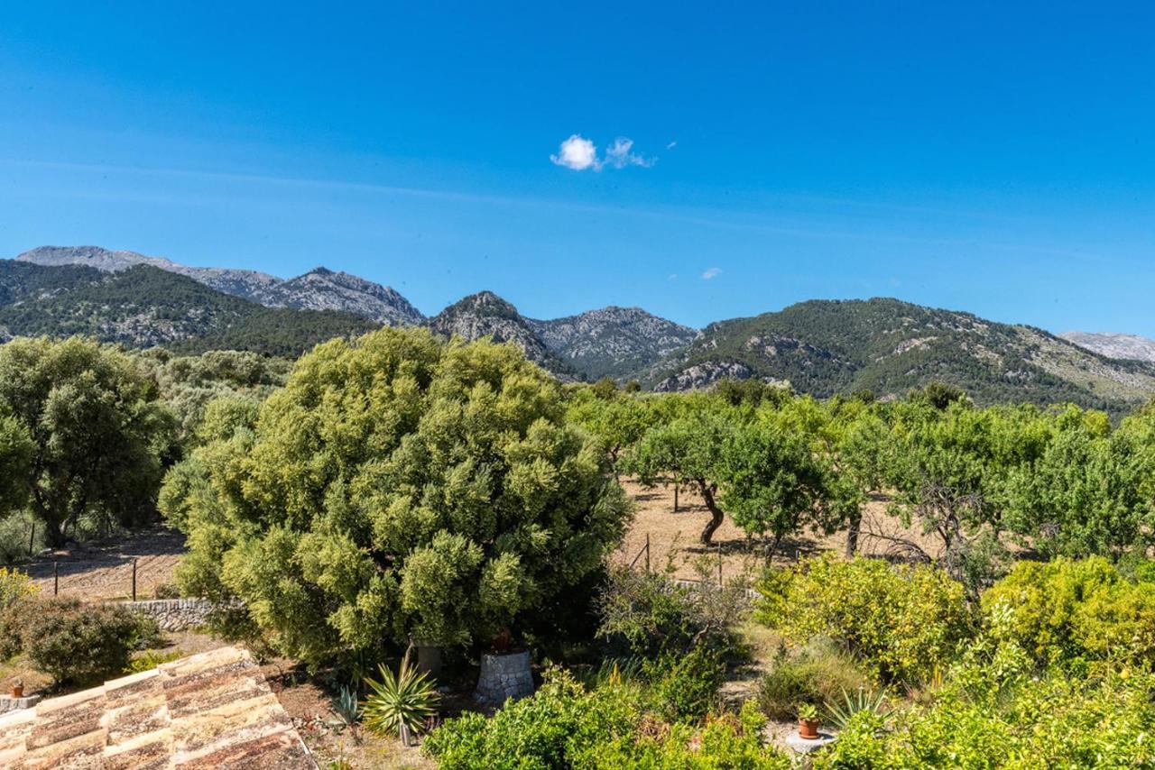 Finca Son Arnau Selva  Ngoại thất bức ảnh
